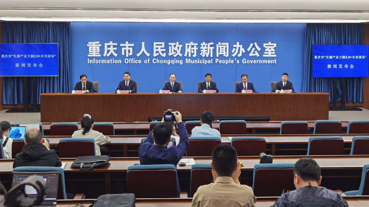 重慶以AI賦能生豬產業建未來豬場