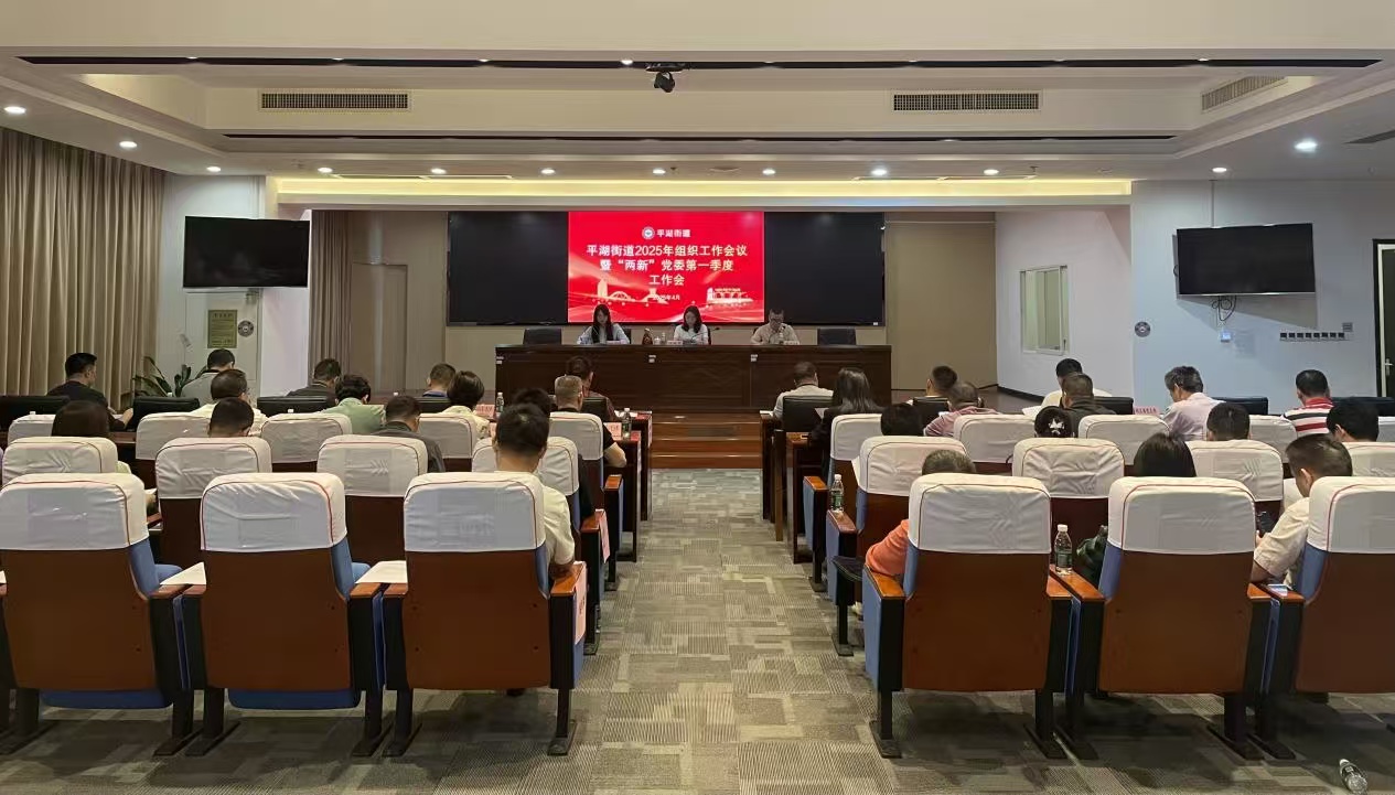 凝心聚力共促發展 深圳龍崗平湖召開組織工作會議