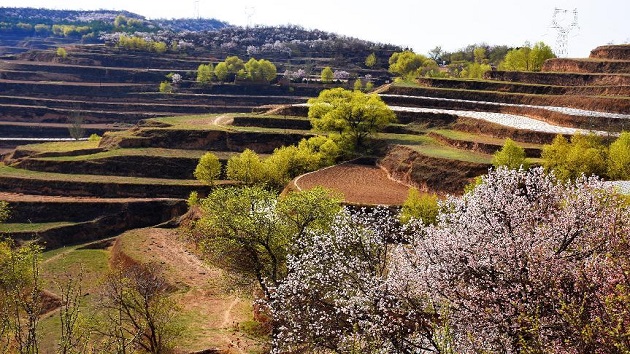 甘肅榆中第二屆杏花文化旅遊節即將開幕