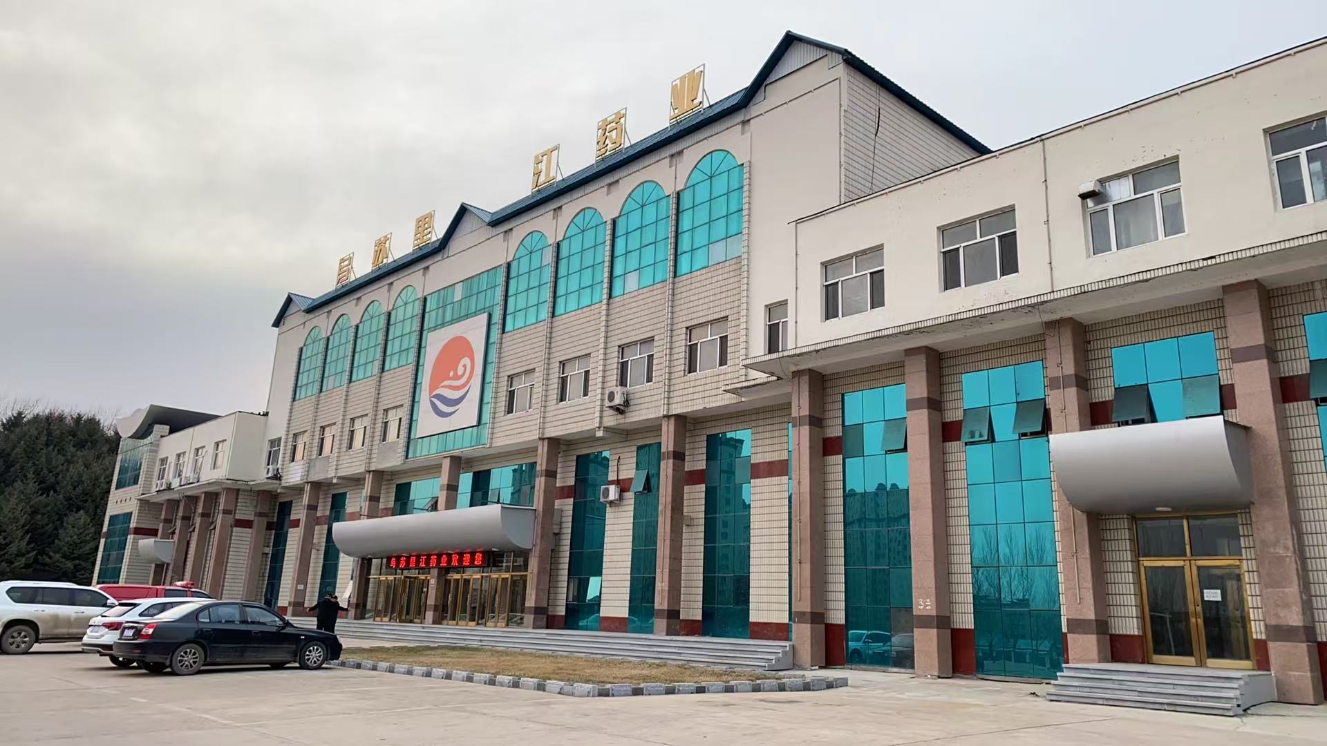 【虎林五加 千年珍寶】系列報道之八黑龍江虎林：厚植營商沃土 刺五加產業雨後春筍式崛起