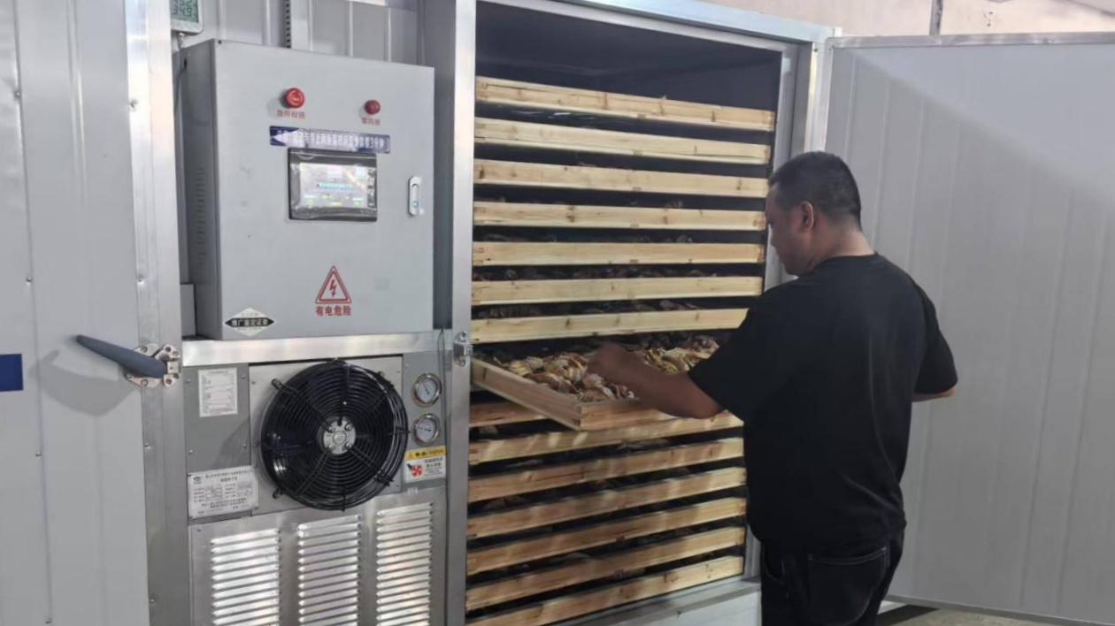 皖祁門縣：返鄉支書「帶活」竹經濟