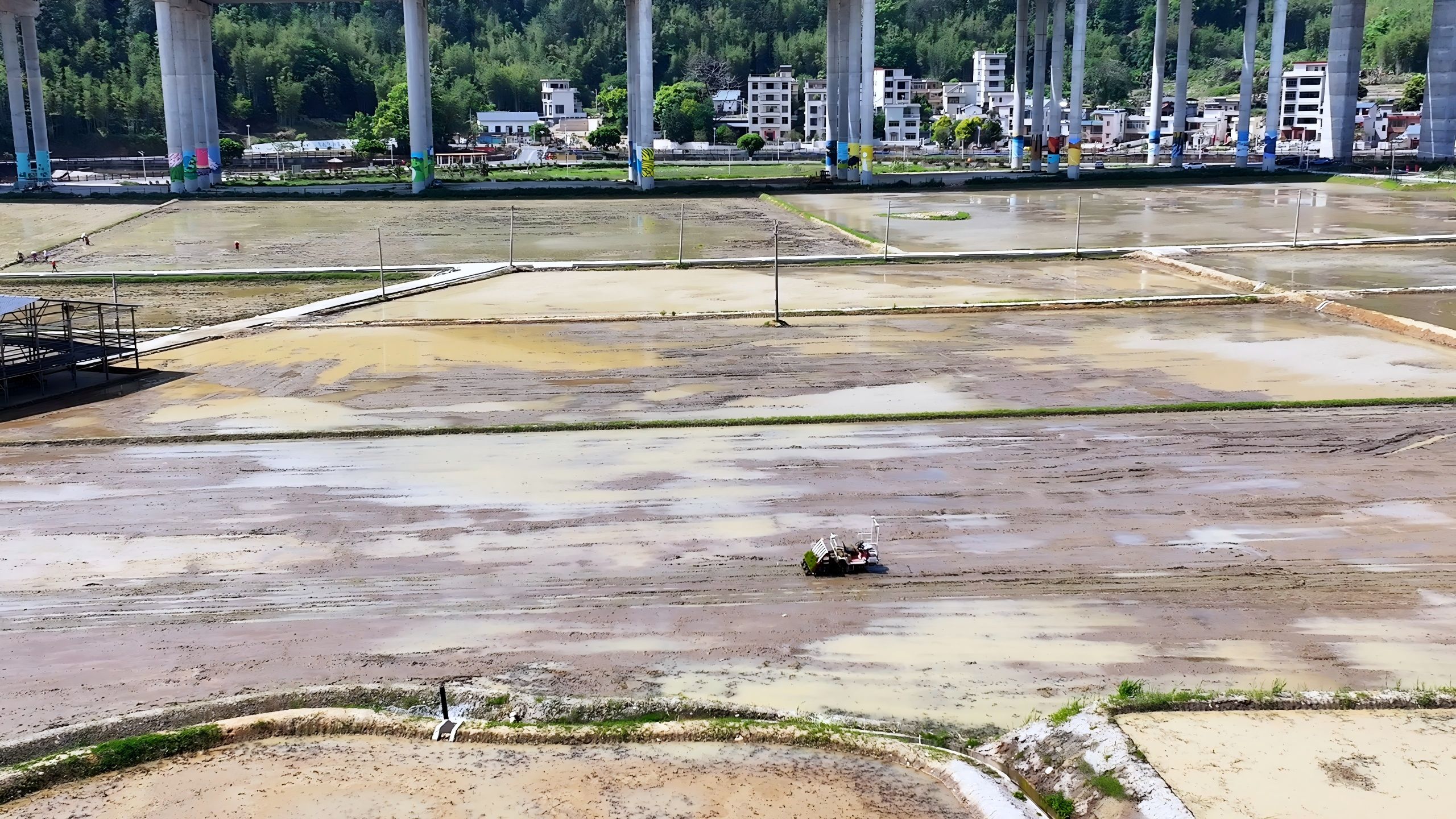 廣東韶關新豐：首個「無人化智慧農場」正式啟動  科技賦能高質量發展