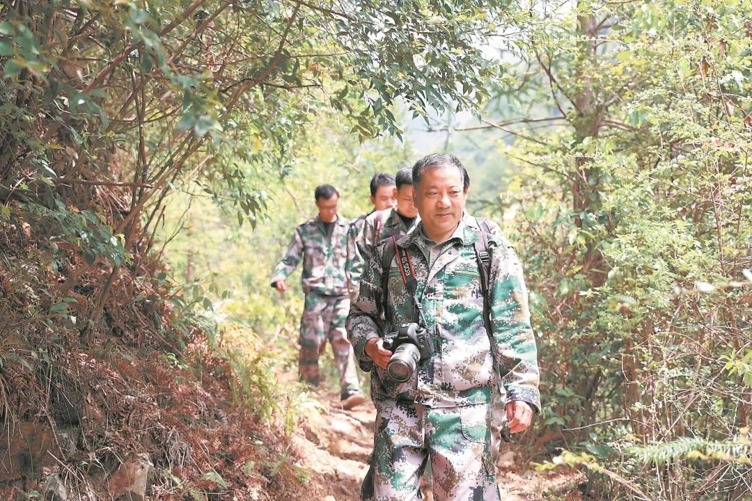 典型培樹效顯  皖歙縣王山青入選省《榜樣》欄目