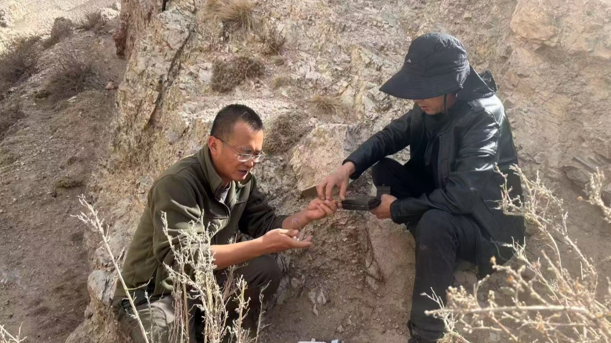 甘肅安南壩保護區94台紅外相機守護瀕危物種