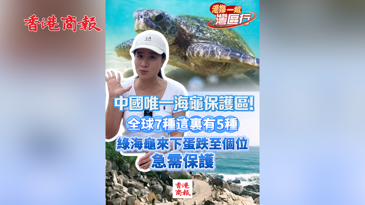 有片丨【港媒一姐灣區行】中國唯一海龜保護區！全球7種這裏佔5種 綠海龜來下蛋跌至個位 急需保護