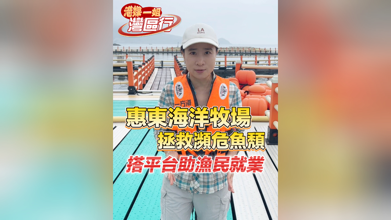 有片丨【港媒一姐灣區行】惠東海洋牧場拯救瀕危魚頽 搭平台助漁民就業