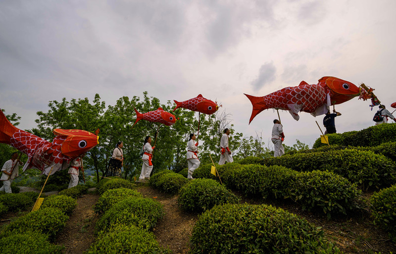 皖歙縣杞梓里鎮：非遺魚燈點亮「雲海街市」