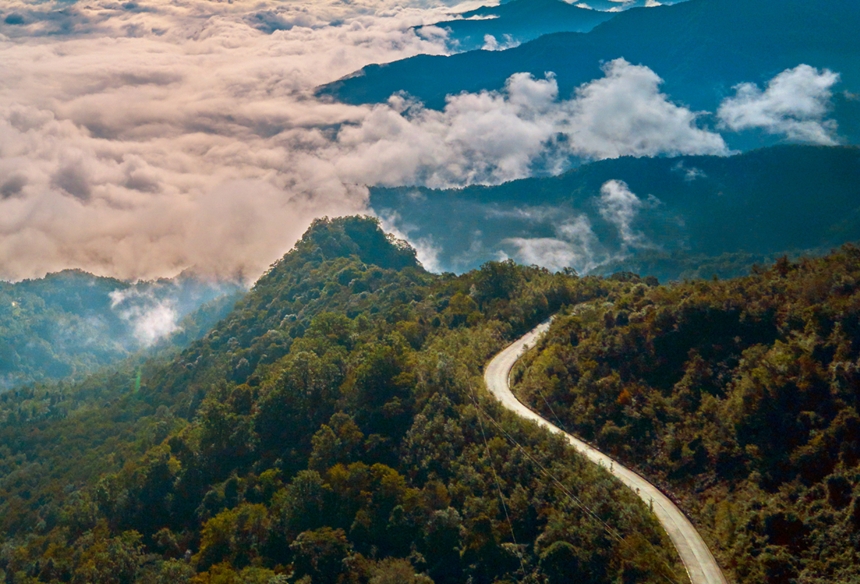觀雲海星空賞珙桐花海 四川平武藥叢山仙境如畫