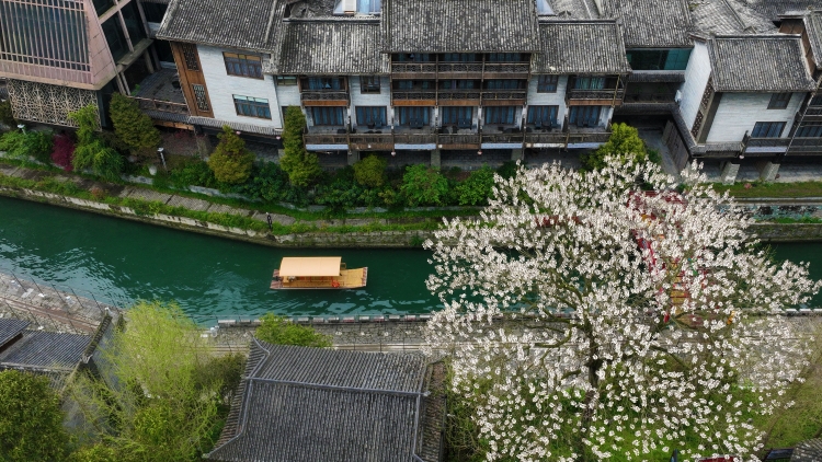 2024年遊客滿意的內地十佳城市出爐