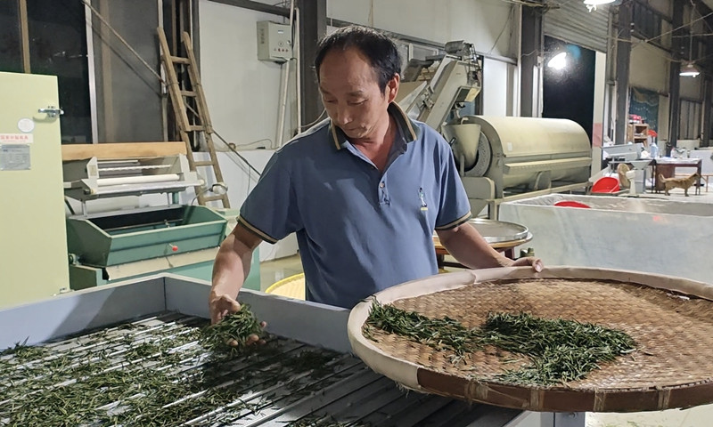 傳承與創新並舉 皖休寧茶業機械化賦能傳統工藝提質增效