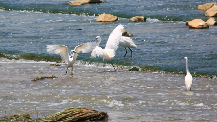 深圳新添2個省級水利風景區