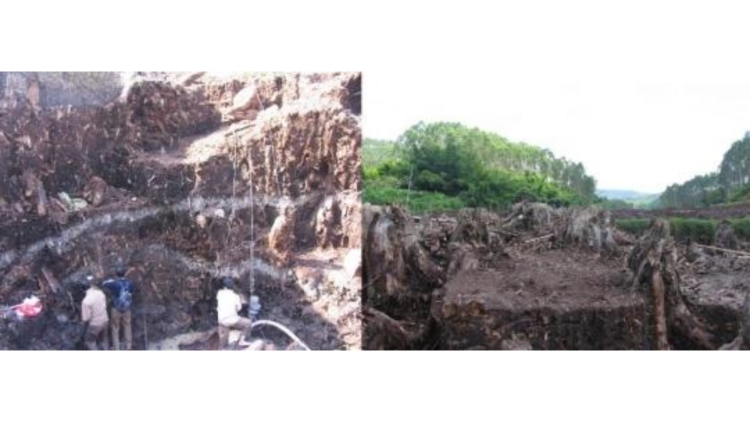 廣州科學家發現2000多年前嶺南地區戰爭新證