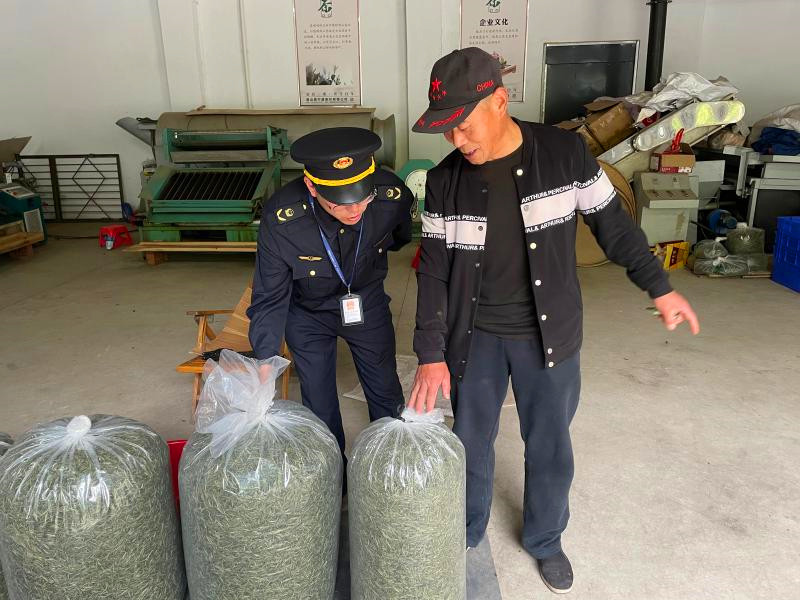 皖休寧縣：「春雷」行動護茶香
