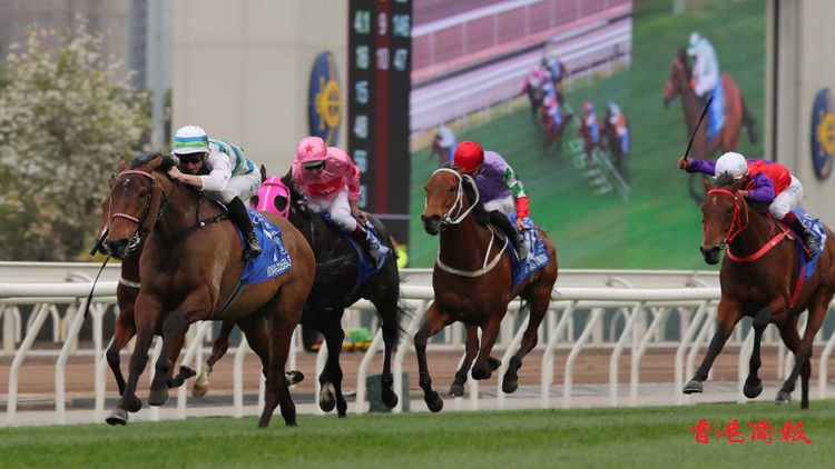 富衛保險冠軍賽馬日周日上演 「遨遊氣泡」力爭香港一哩大滿貫