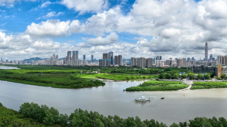 深圳銀行業總資產超13萬億元