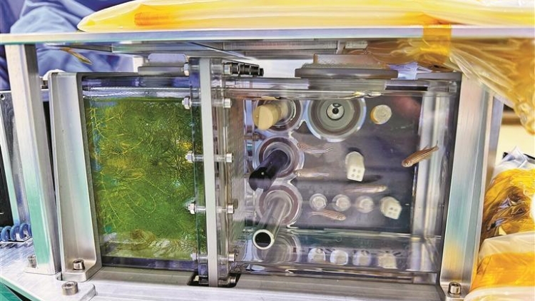 華工「魚航員」隨神二十升空