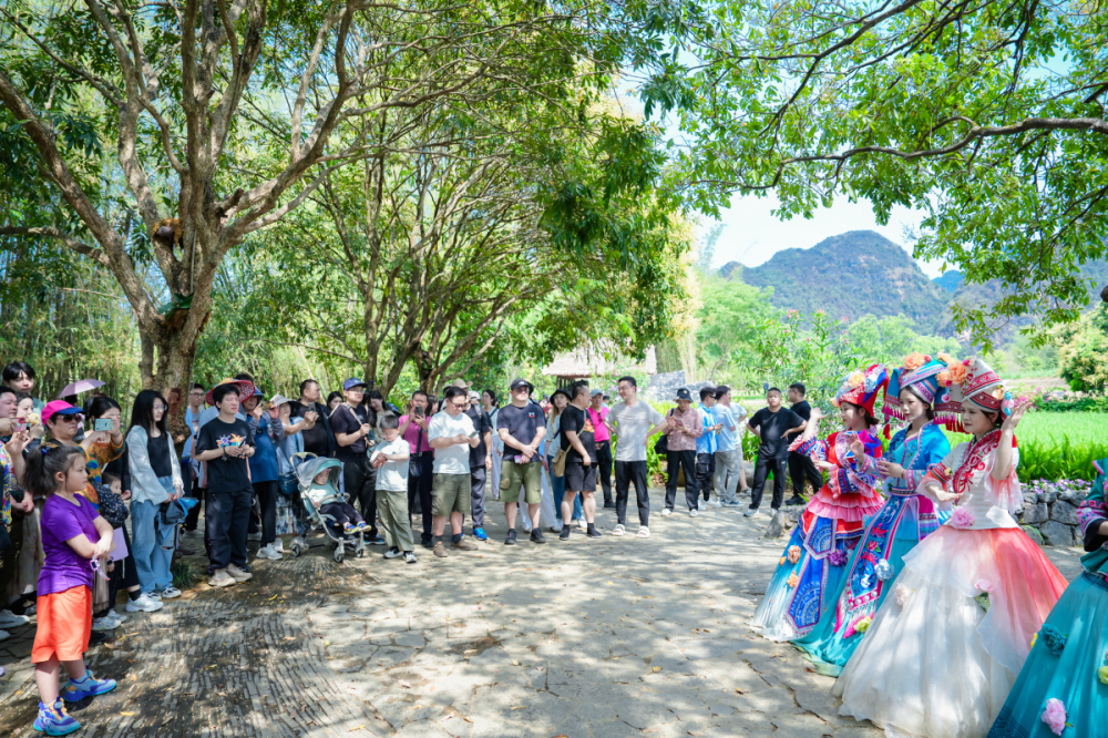 桂大新峒那嶼灣五一「花朝季」玩出新高度