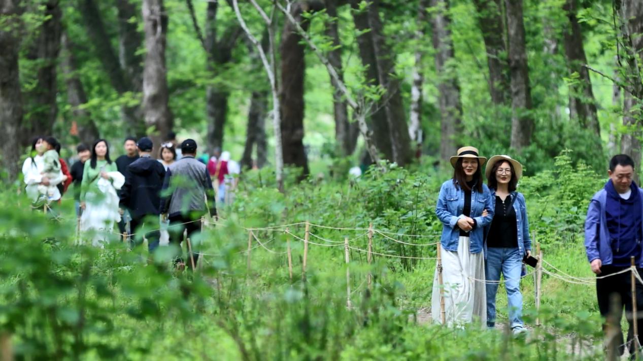 「綠野仙蹤」如詩如畫   皖徽州區古村生態美景迎客來