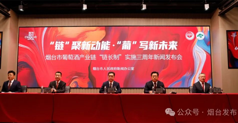 品牌價值861億元！山東煙台走出中國葡萄酒產業新範式