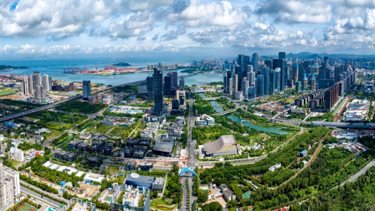 有片丨前海蛇口自貿片區高水平對外開放成全球投資熱土