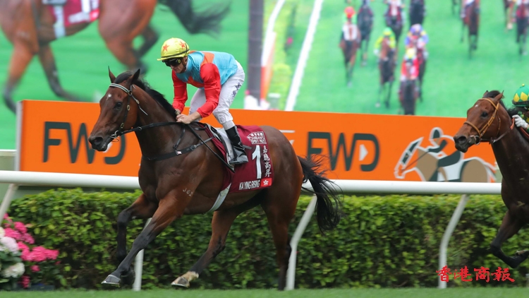 有片 | 輕取主席短途獎完成12連勝 嘉應高昇榮膺短途三冠王