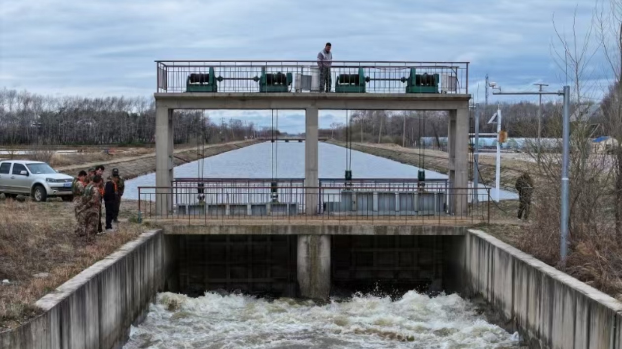 北大荒江濱分公司：引龍江水 育優質稻 築農業高質量發展之路