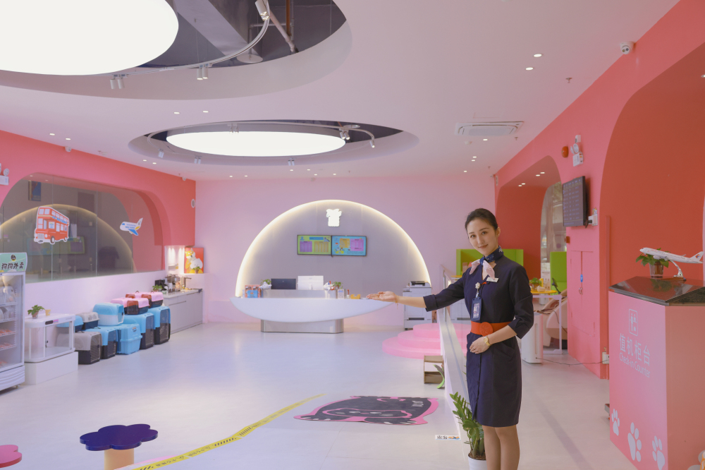 「五一」東航在大灣區日均投放350個航班