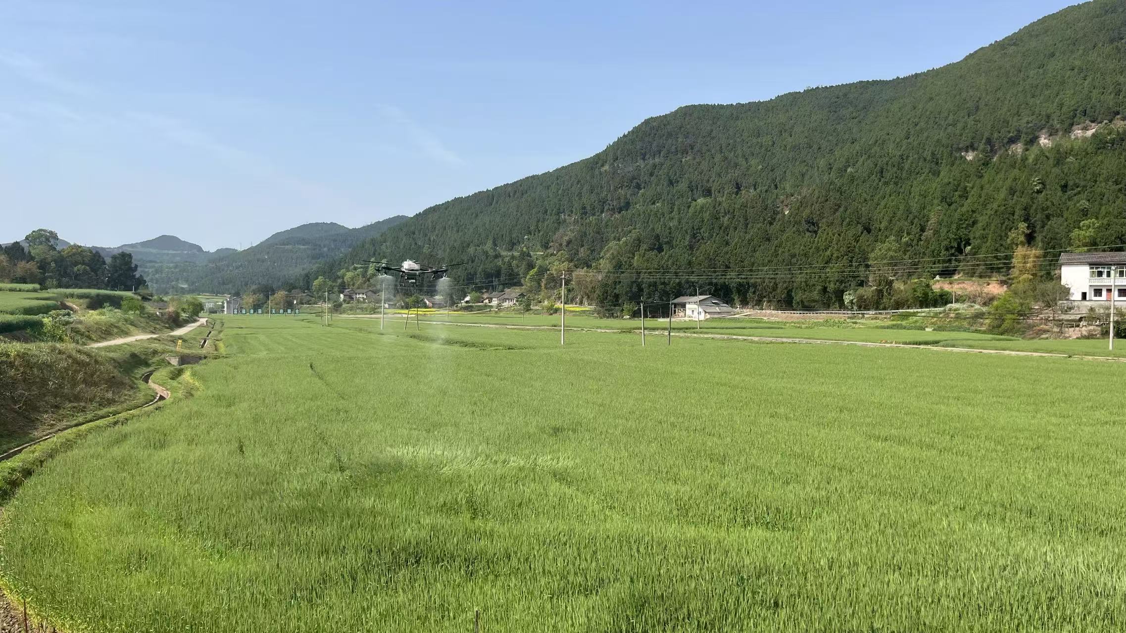 四川鹽亭：充分利用農業科技賦能 確保糧食生產安全高效增收