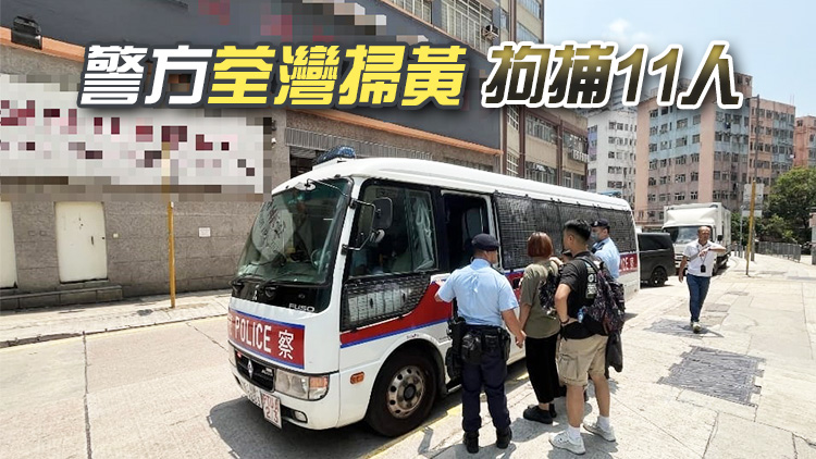 警方新界南打擊黑工 拘捕27名男女