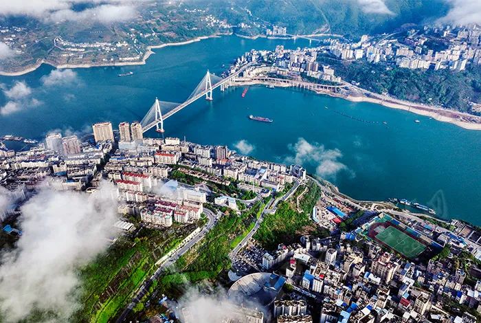 恩施巴東「水魁」「茶王」背後的生態經濟密碼