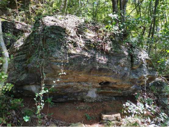 提煉特色有效運營 皖黟縣宏潭打造來龍山「全維度康養目的地」