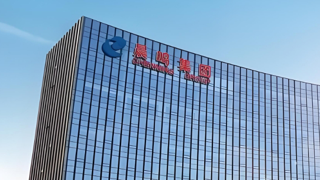 山東晨鳴紙業集團股份有限公司2025年第一季度報告