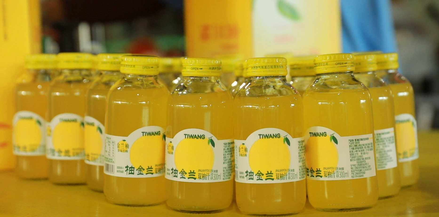 安福金蘭柚：從「小特產」到「大產業」的綠色崛起