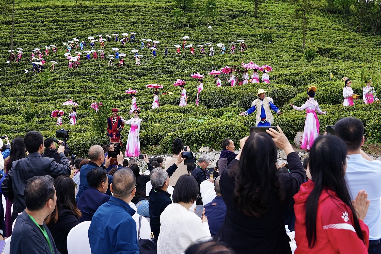 共謀茶產業高質量發展  浙川茶產業融合發展大會在四川北川舉行