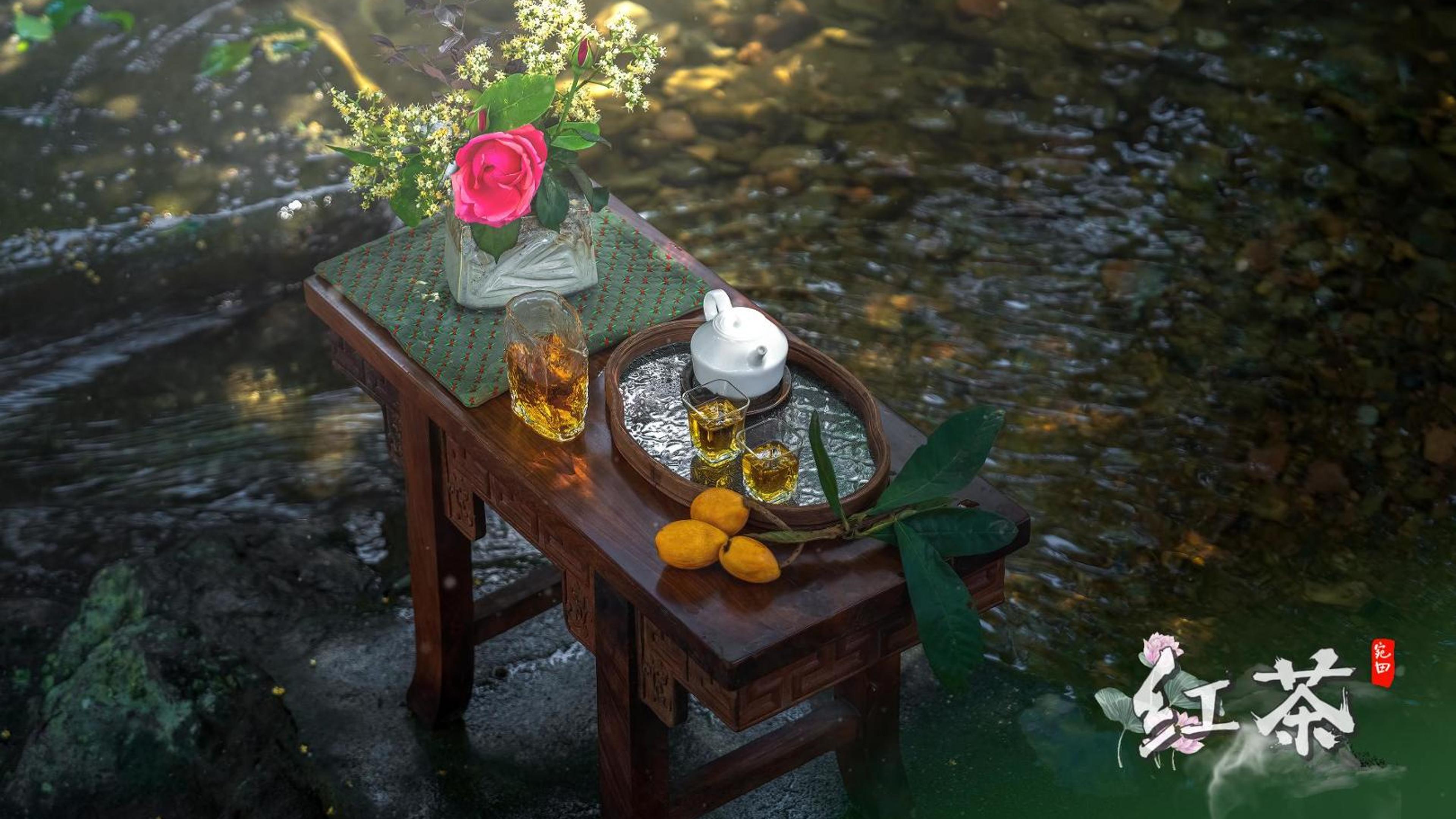 有片｜桂林臨桂區古樹茶敘中探尋非遺文化