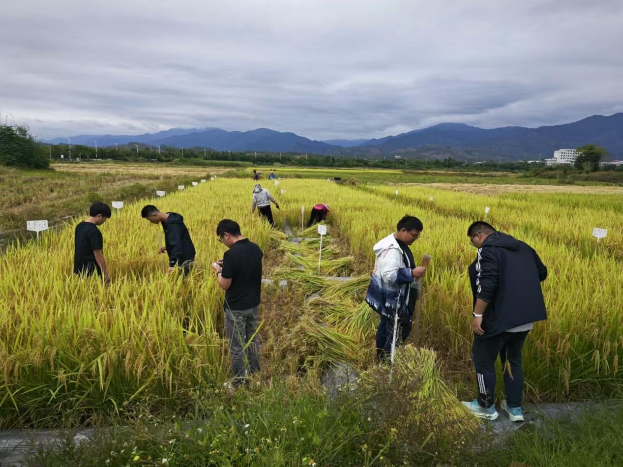 科技賦能全鏈條 校地協同譜新篇  韶關學院生物與農業學院「雙百行動」助力南雄鄉村振興
