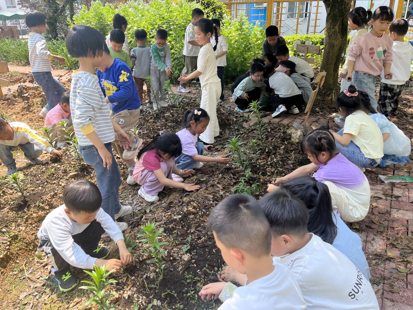 皖祁門縣幼兒園：勞動教育潤童心 五育並舉促成長