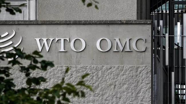 中國代表在世貿組織會議上譴責美國「對等關稅」