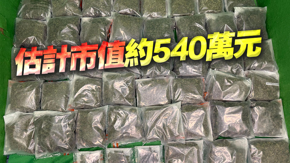 行李藏25公斤大麻花 海關機場拘捕從曼谷抵港男子