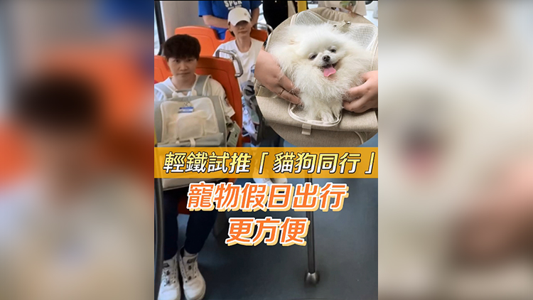 有片 | 輕鐵試推「貓狗同行」計劃 寵物假日出行更方便