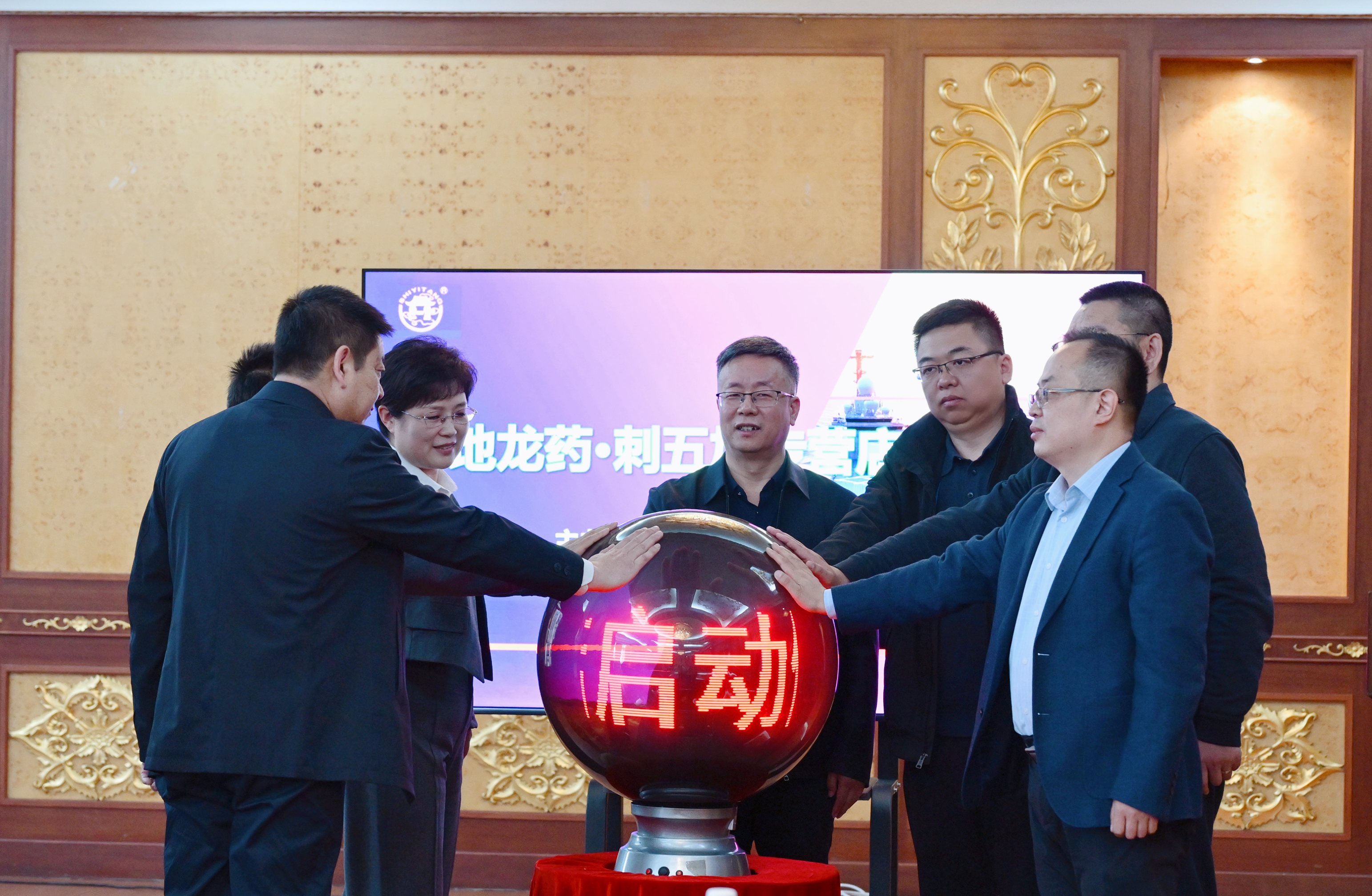 全國首家！「寒地龍藥·刺五加專營店」在「哈藥」正式啟動運營