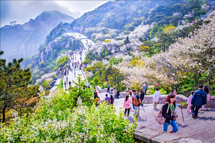 泰山景區今年第200萬名遊客誕生！