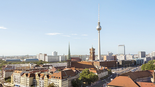 德聯邦憲法保衛局認定德國選擇黨為極右翼勢力