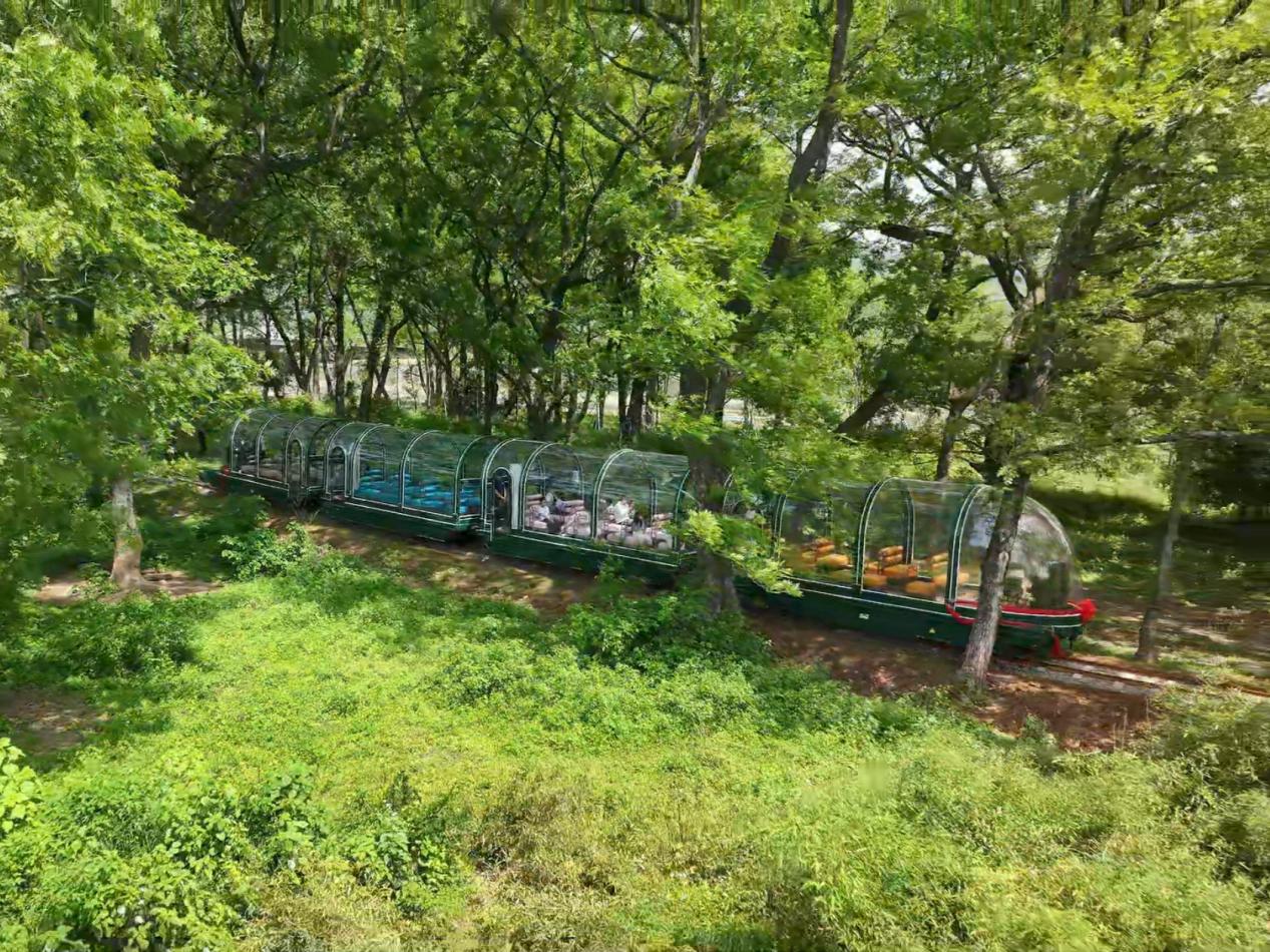 新玩法讓流量變留量  皖徽州區西溪南「特別出片」