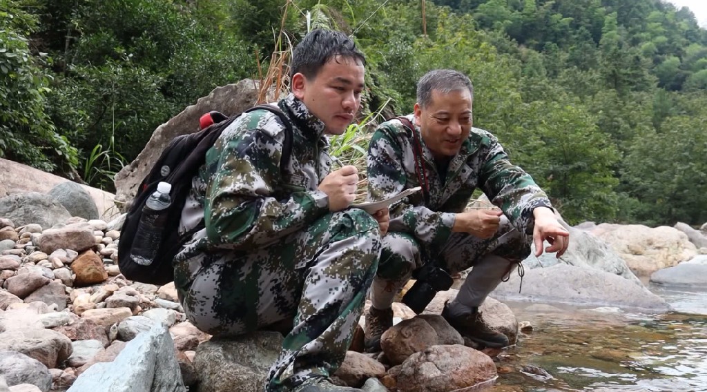 王山青：守護青山心不改 載譽歸來續征程