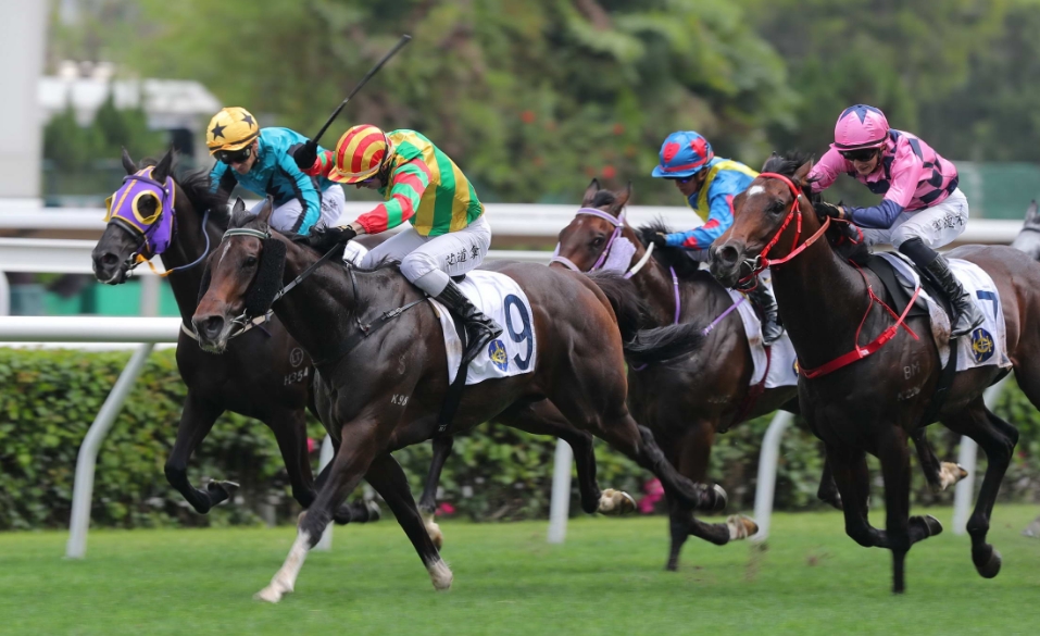 有片丨火焰閃爍捧走九龍木球會百周年紀念盃 跨境寶馬大熱險勝 馬主吳海波:最緊張一次