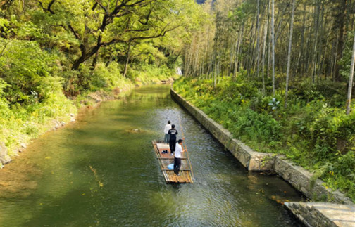 五溪山杜鵑花海引客來 皖黟縣宏潭山水秘境人潮湧動