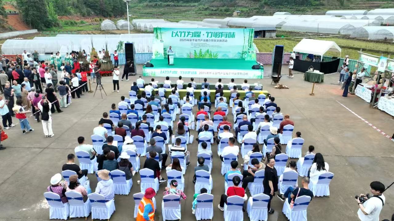 以竹為媒，竹夠有味！廣東新豐成功舉辦竹產業推介暨農文旅活動