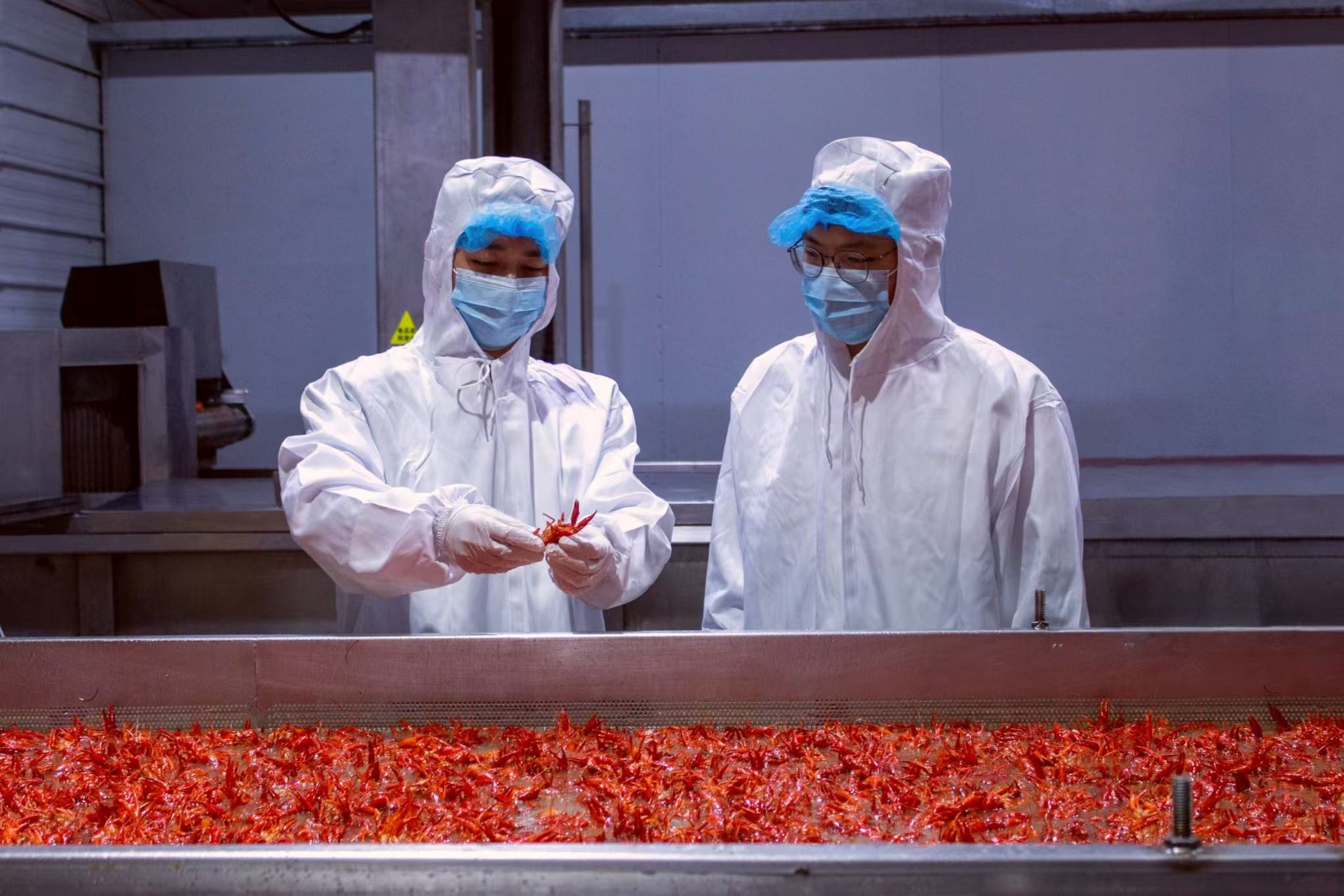 「潛江龍蝦」首次出口中東