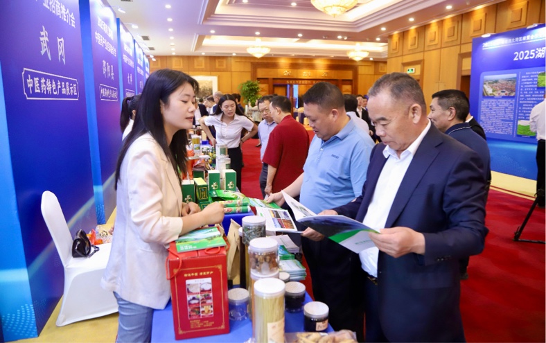 藥王文化「聯姻」灣區資本  湖南邵陽中醫藥產業搶灘粵港澳